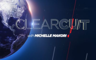 I24 Interview: The Impeachment Hearing Sideshow
